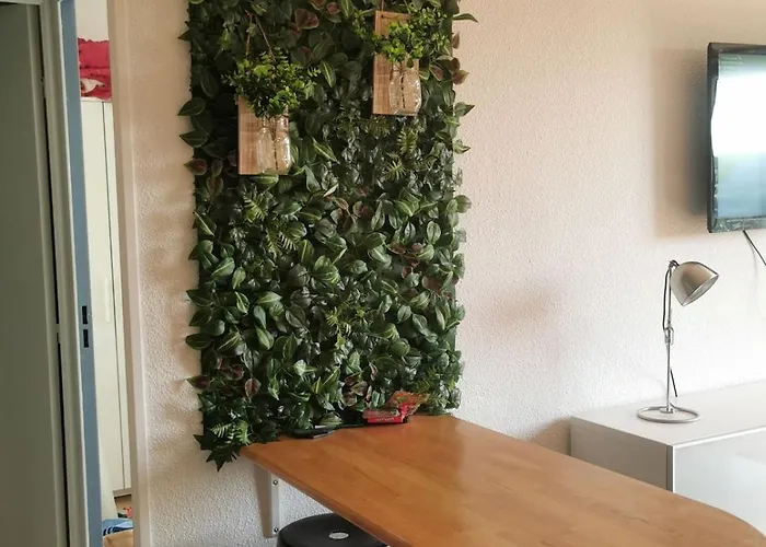 Quiet With View 乌尔加特